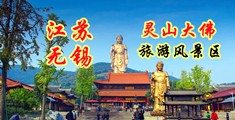 快色www网站入口江苏无锡灵山大佛旅游风景区